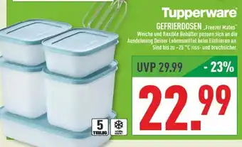 Marktkauf Tupperware gefrierdosen freezer mates Angebot