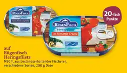 tegut Rügenfisch heringsfilets Angebot