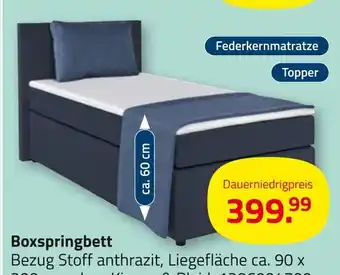 ROLLER Boxspringbett Angebot