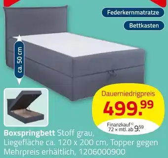 ROLLER Boxspringbett Angebot