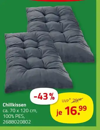 ROLLER Chillkissen Angebot