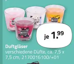 ROLLER Duftgläser Angebot