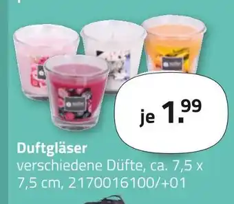 ROLLER Duftgläser Angebot