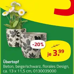 ROLLER Übertopf Angebot