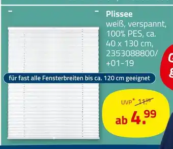 ROLLER Plissee Angebot