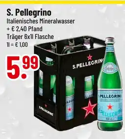 trinkgut S. pellegrino malztrunk Angebot