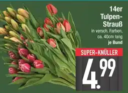 Edeka 14er tulpen-strauß Angebot