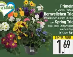 Edeka Hornveilchen trio oder spring trio Angebot