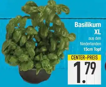 Edeka Basilikum xl Angebot