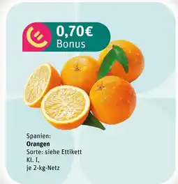 akzenta Orangen Angebot