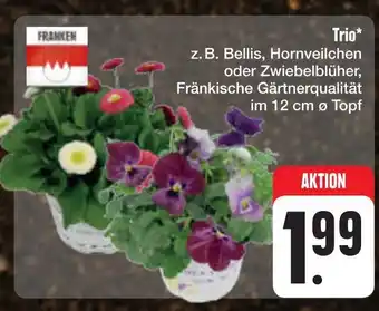 E-Center Franken trio Angebot