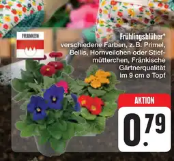 E-Center Franken frühlingsblüher Angebot