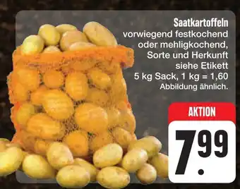 E-Center Saatkartoffeln Angebot