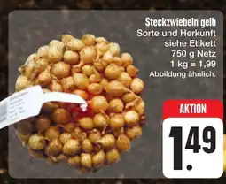 E-Center Steckzwiebeln gelb Angebot