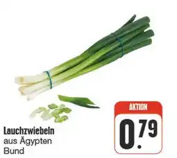 nah & gut Lauchzwiebeln Angebot