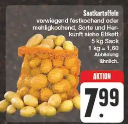 Edeka Saatkartoffeln Angebot