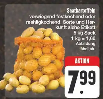 Edeka Saatkartoffeln Angebot