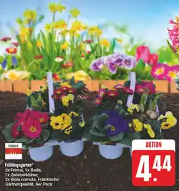 Edeka Franken frühlingsgarten Angebot