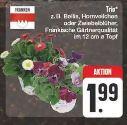 Edeka Franken trio Angebot