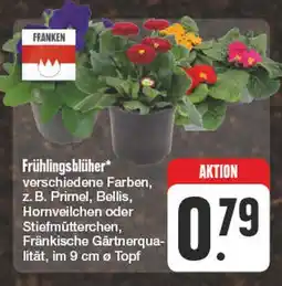 Edeka Franken frühlingsblüher Angebot