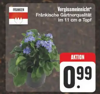 Edeka Franken vergissmeinnicht Angebot