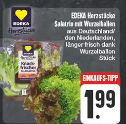 Edeka Edeka herzstücke salatrio mit wurzelballen Angebot