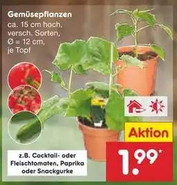 Netto Marken-Discount Cocktail- oder fleischtomaten, paprika oder snackgurke Angebot