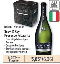 METRO Scavi & Ray Prosecco Frizzante Angebot