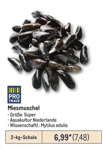 METRO Miesmuschel Angebot