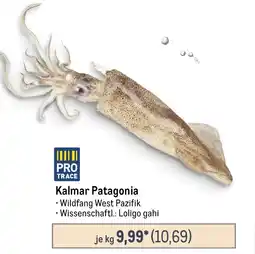 METRO Kalmar Patagonia Angebot