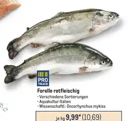 METRO Forelle rotfleischig Angebot