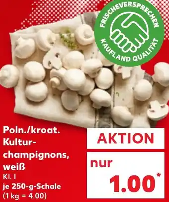 Kaufland Poln./kroat. Kulturchampignons, weiß Angebot