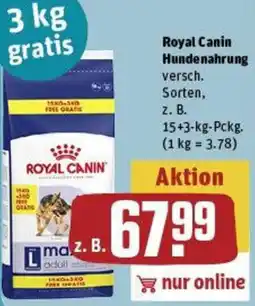 REWE Royal Canin Hundenahrung Angebot