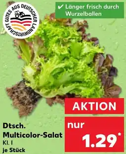 Kaufland Dtsch. Multicolor-Salat Angebot