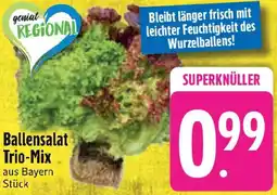 Edeka Ballensalat Trio-Mix Angebot