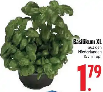 Edeka Basilikum XL Angebot