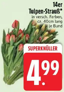 Edeka 14er Tulpen-Strauß Angebot