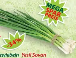 Hepsi-Markt Lauchzwiebeln Angebot