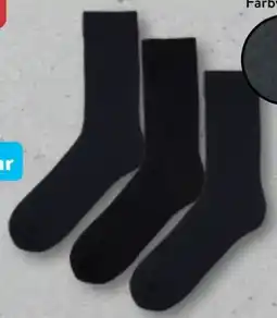 Aldi Nord nur die Socken 3er-Pack Angebot