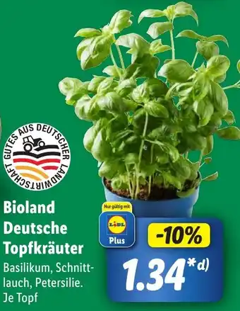 Lidl Bioland Deutsche Topfkräuter Angebot