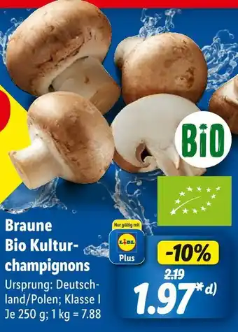 Lidl Braune bio kulturchampignons Angebot