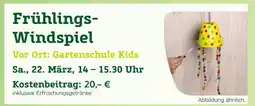 Pflanzen Kölle Frühlings-windspiel Angebot