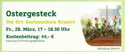 Pflanzen Kölle Ostergesteck Angebot