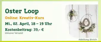 Pflanzen Kölle Oster loop Angebot