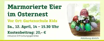 Pflanzen Kölle Marmorierte eier im osternest Angebot