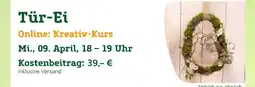 Pflanzen Kölle Tür-ei Angebot