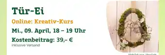 Pflanzen Kölle Tür-ei Angebot