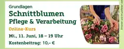 Pflanzen Kölle Schnittblumen pflege & verarbeitung online-kurs Angebot