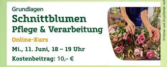 Pflanzen Kölle Schnittblumen pflege & verarbeitung online-kurs Angebot