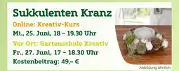 Pflanzen Kölle Sukkulenten kranz Angebot